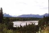 View from the Denali Viewpoint