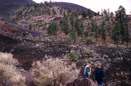 Sunset Crater Trails