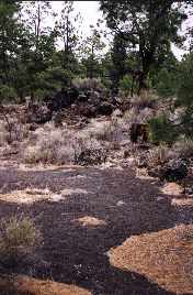 Sunset Crater Area
